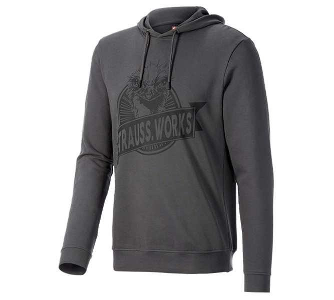 Hauptansicht, Geschenkideen, Hoody-Sweatshirt e.s.iconic works, carbongrau