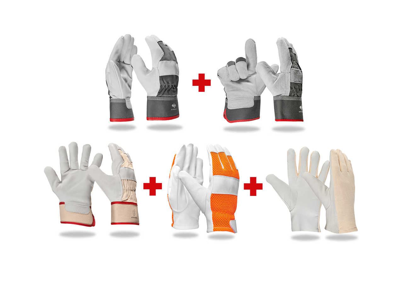 Set | Accessori: Set professionale di guanti, pelle II