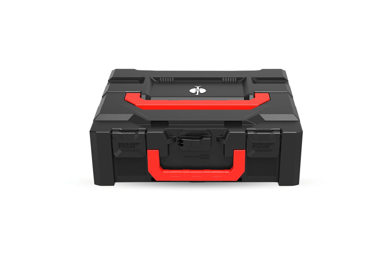STRAUSSbox System: STRAUSSbox 145 midi+ Color + schwarz