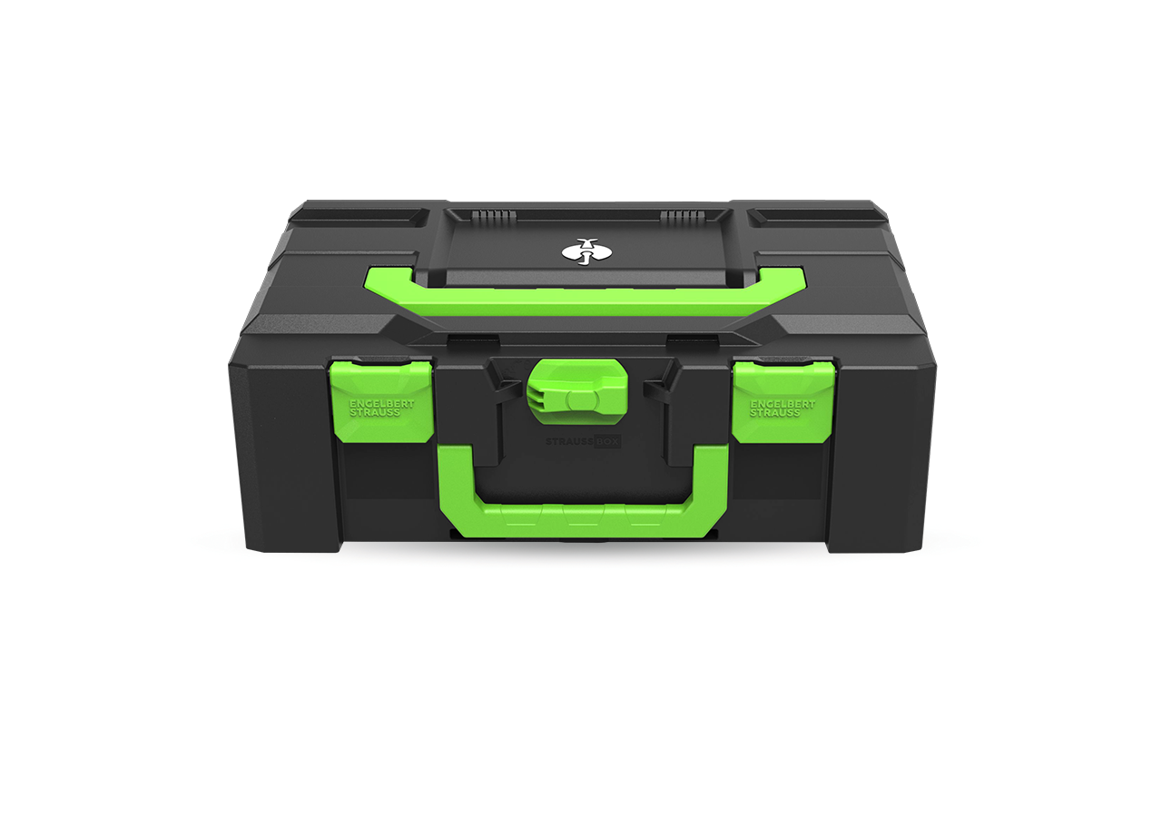 Sistema STRAUSSbox: STRAUSSbox 165 large Color + verde mare