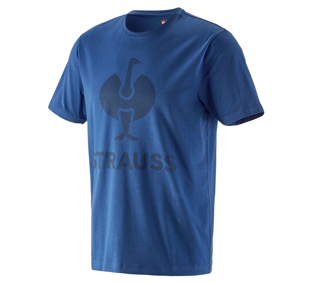 Temi: T-shirt e.s.concrete + blu alcalino