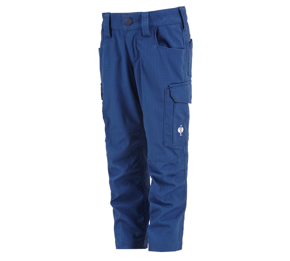 Temi: Pantaloni e.s.concrete solid, bambino + blu alcalino