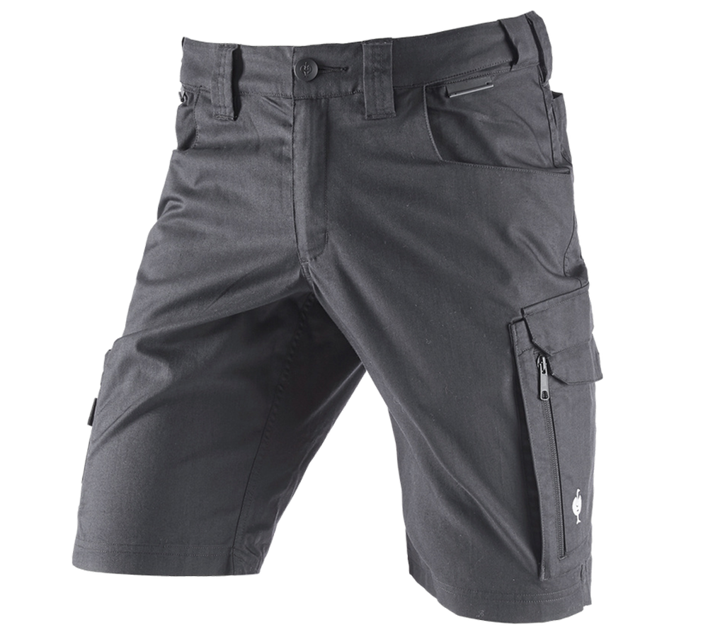 Pantaloni: Short e.s.concrete light + antracite 