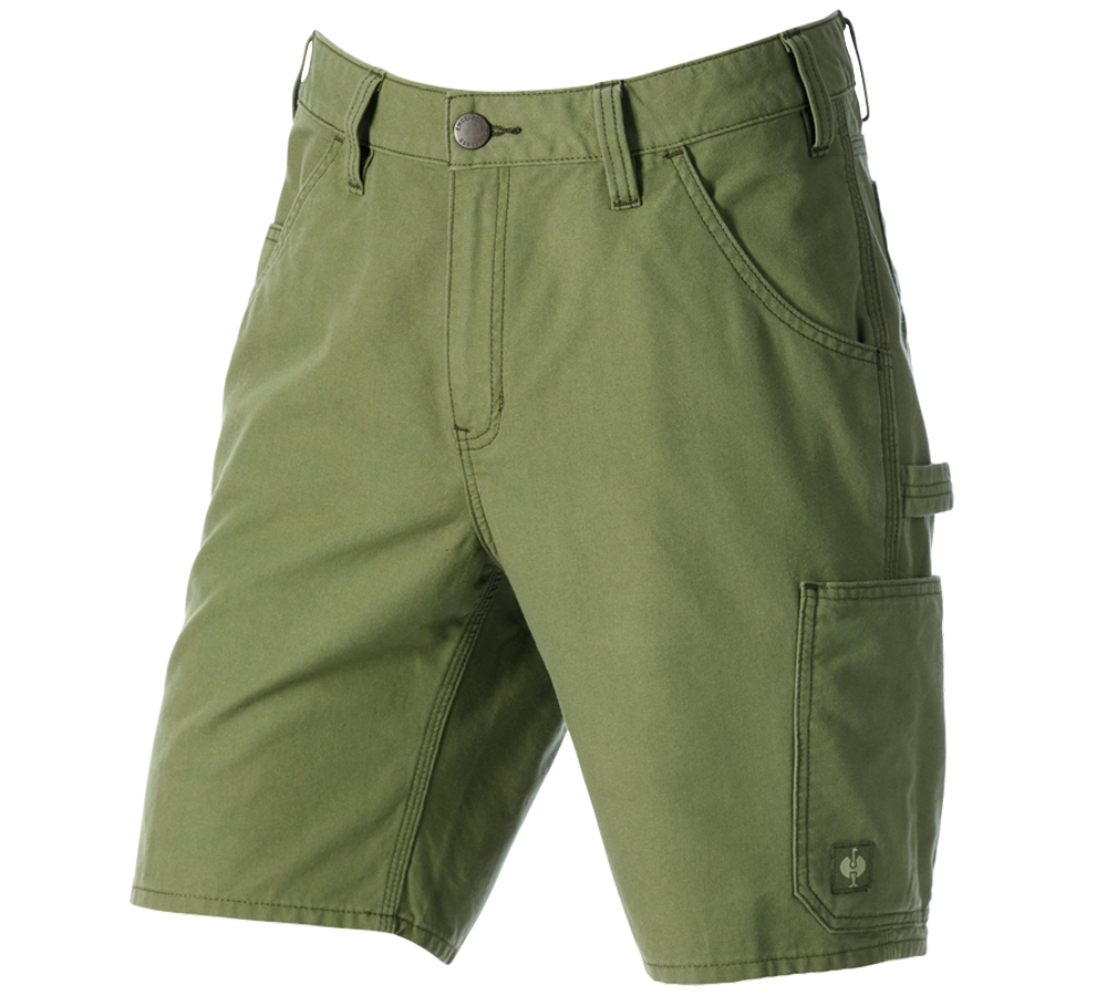 Pantaloni: Short e.s.iconic + verde montagna