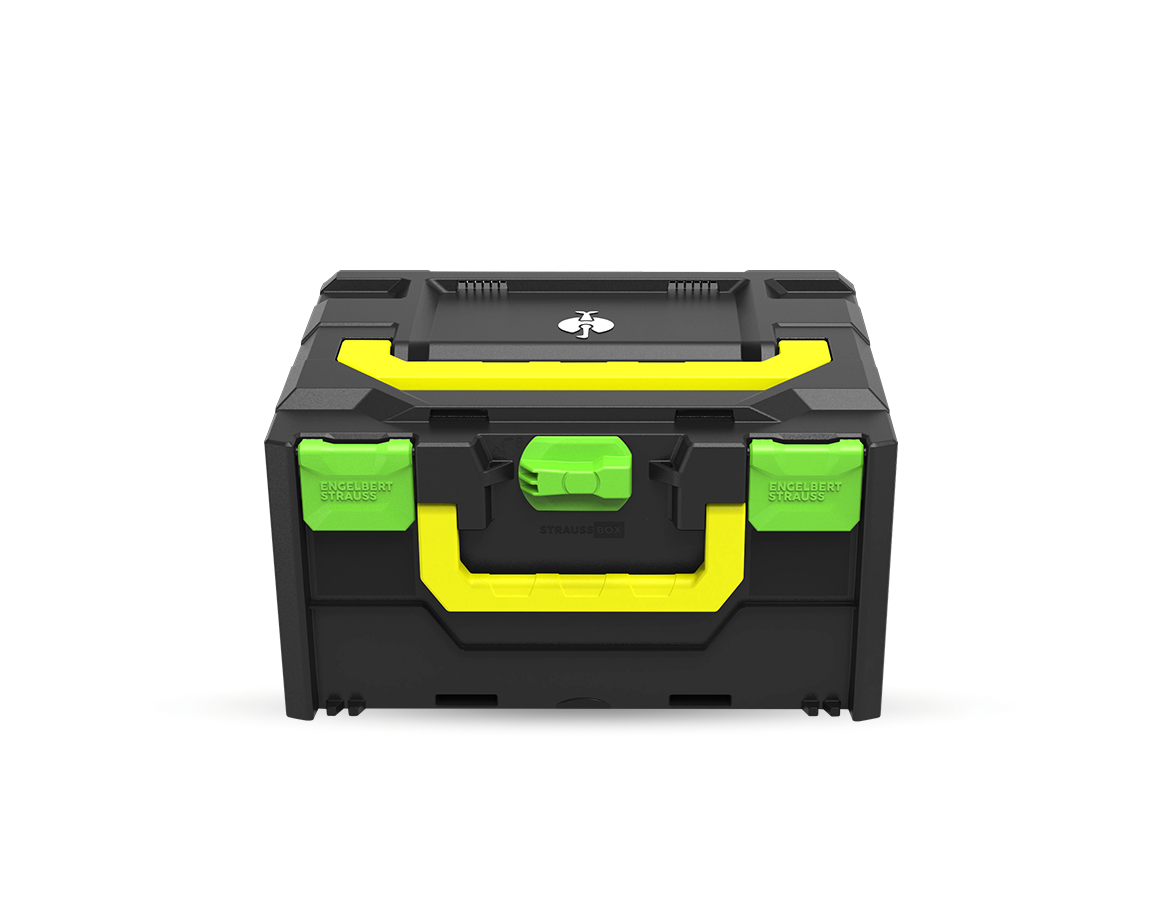 Sistema STRAUSSbox: STRAUSSbox 215 midi Color + verde mare