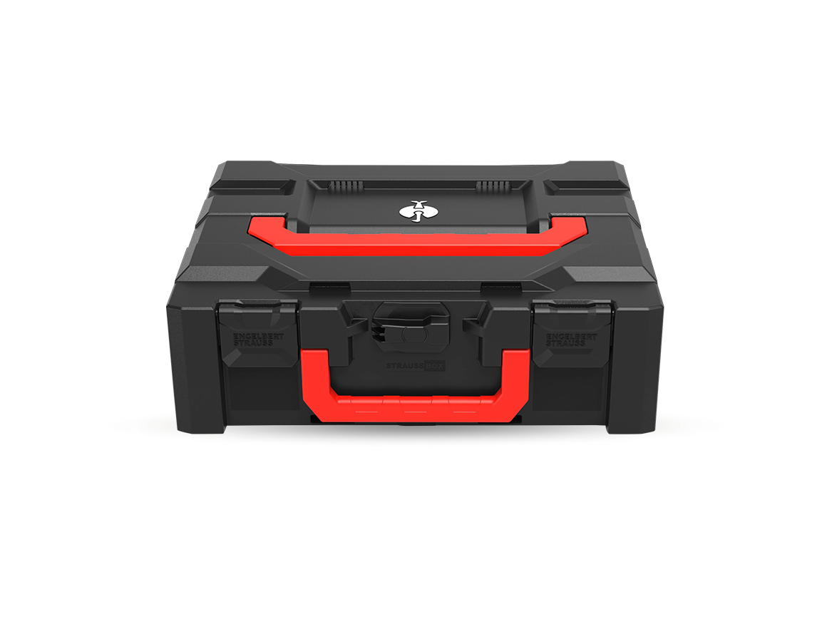 STRAUSSbox System: STRAUSSbox 145 midi+ Color + schwarz