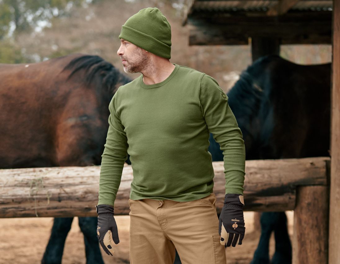 Maglie | Pullover | Camicie: Pullover in maglia e.s.iconic + verde montagna