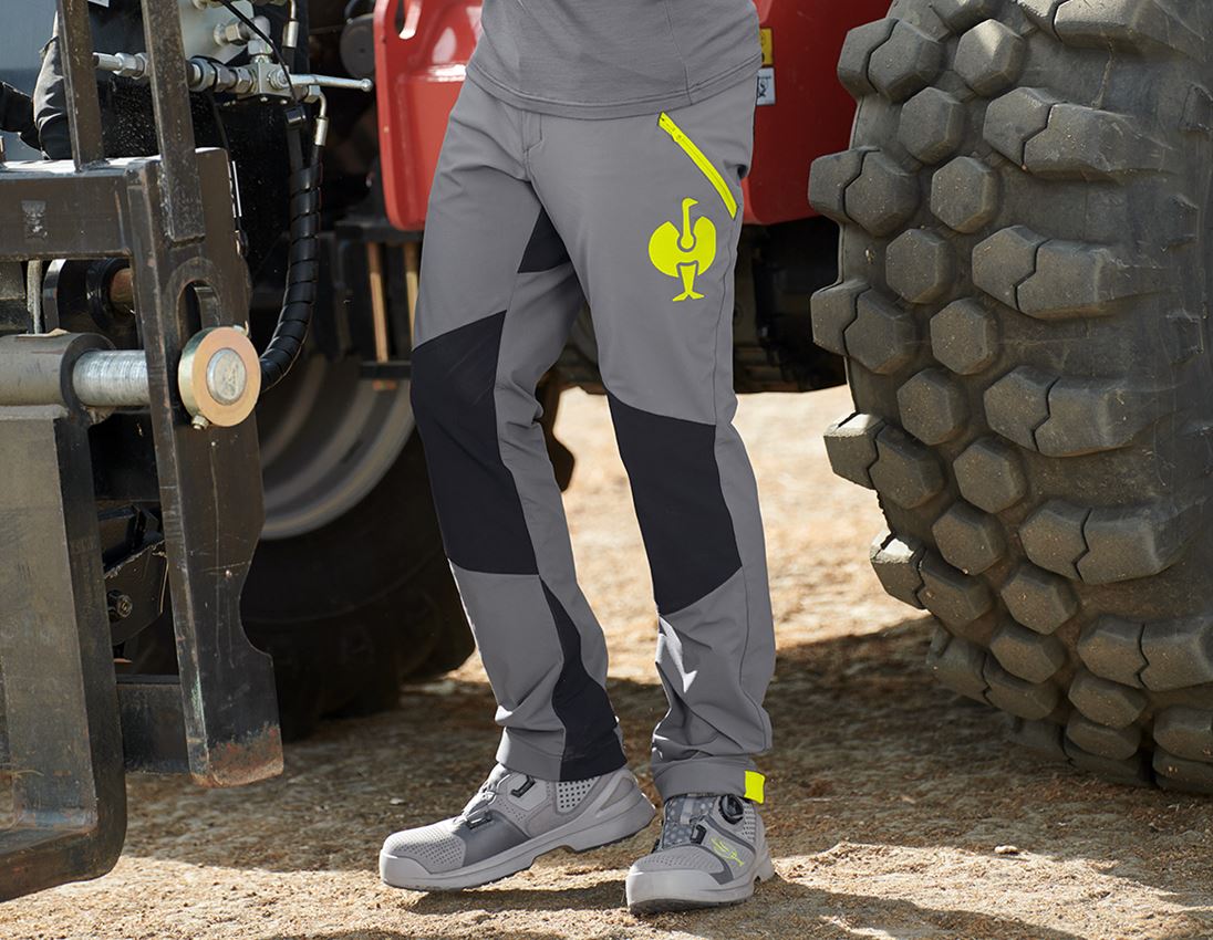 Temi: Pantaloni funzionali e.s.trail + grigio basalto/giallo acido