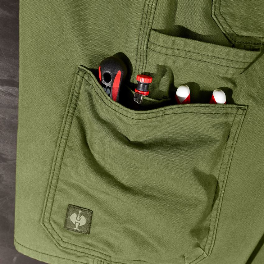 Pantaloni: Short e.s.iconic + verde montagna 2