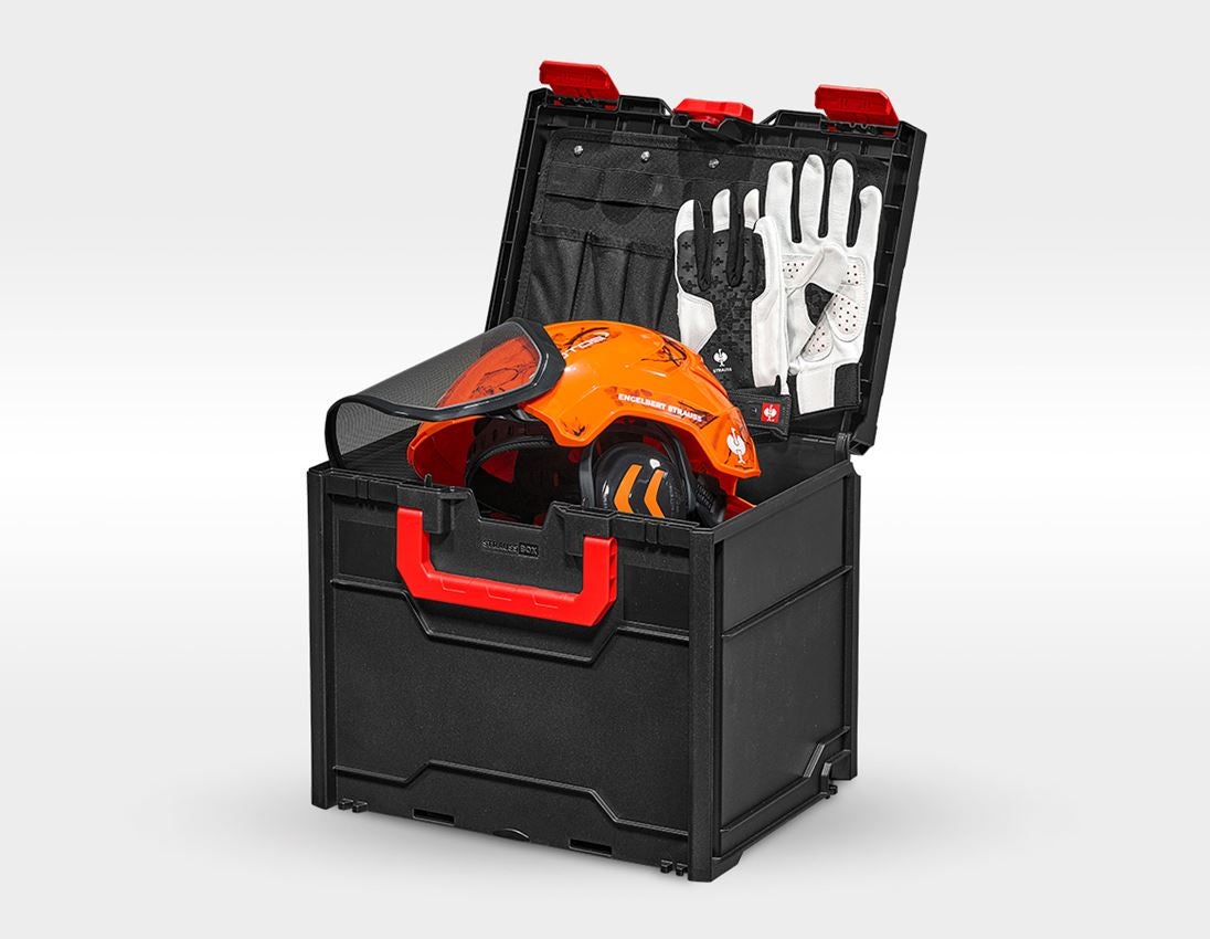 Sicurezza sul lavoro: e.s. elmetto forestale Protos +STRAUSSbox 340 midi + arancio fluo woodprint 4