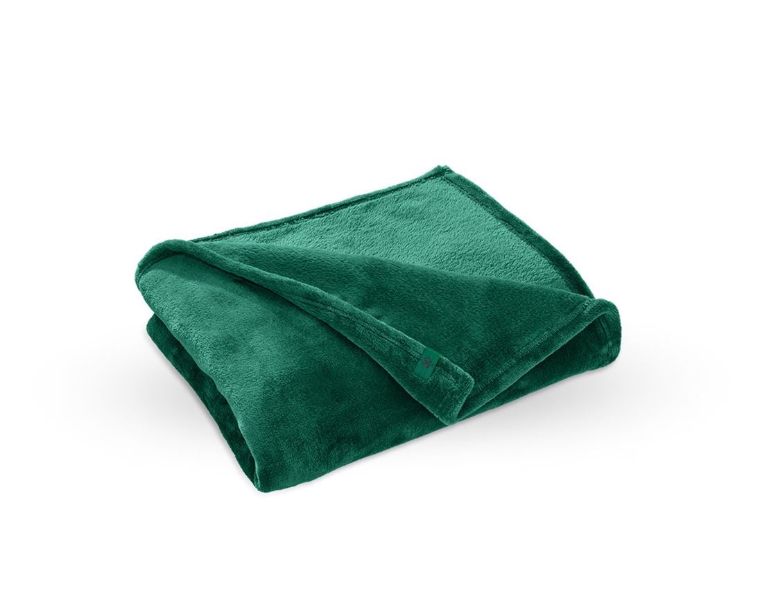 Accessori: e.s. coperta in pile + verde