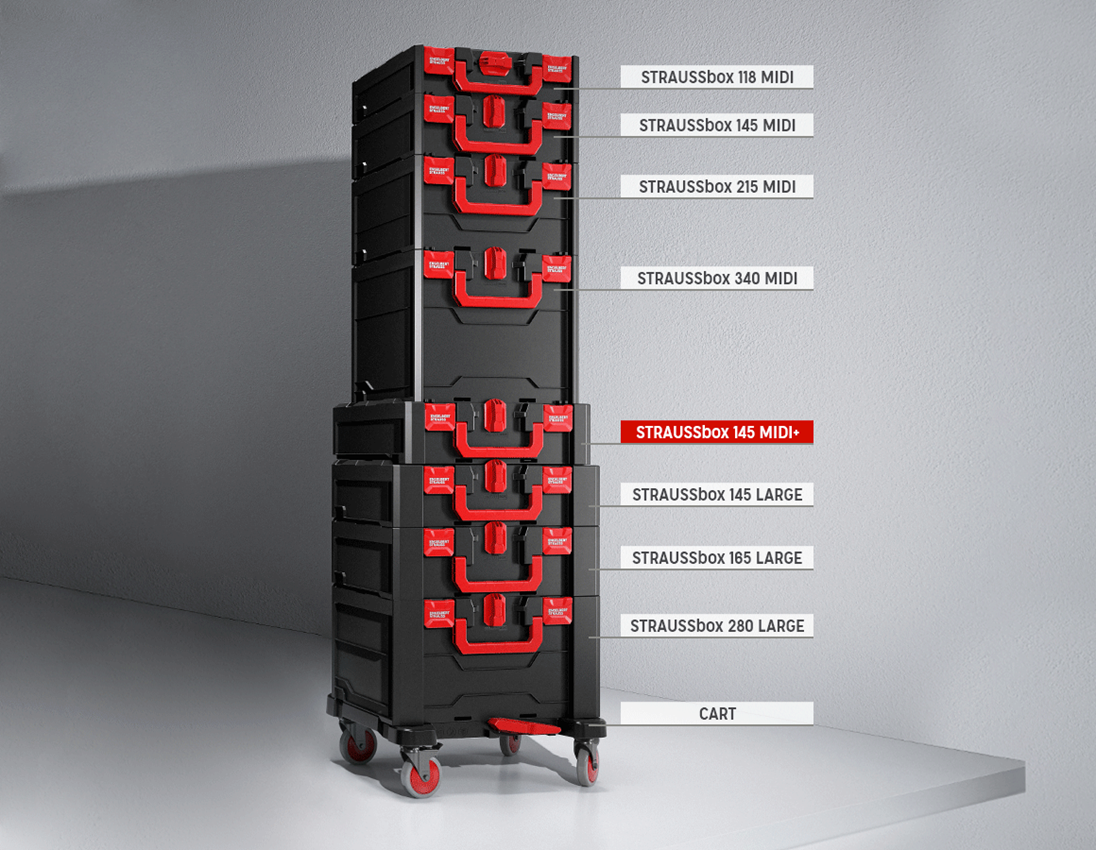 Sistema STRAUSSbox: Set chiavi a tubo pro 1/4+3/8+1/2 nella STRAUSSbox 3