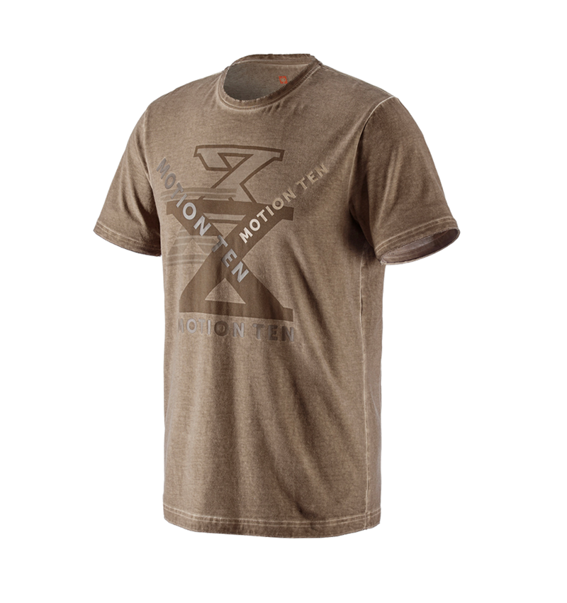 Temi: T-shirt e.s.motion ten + marrone cenere vintage 1