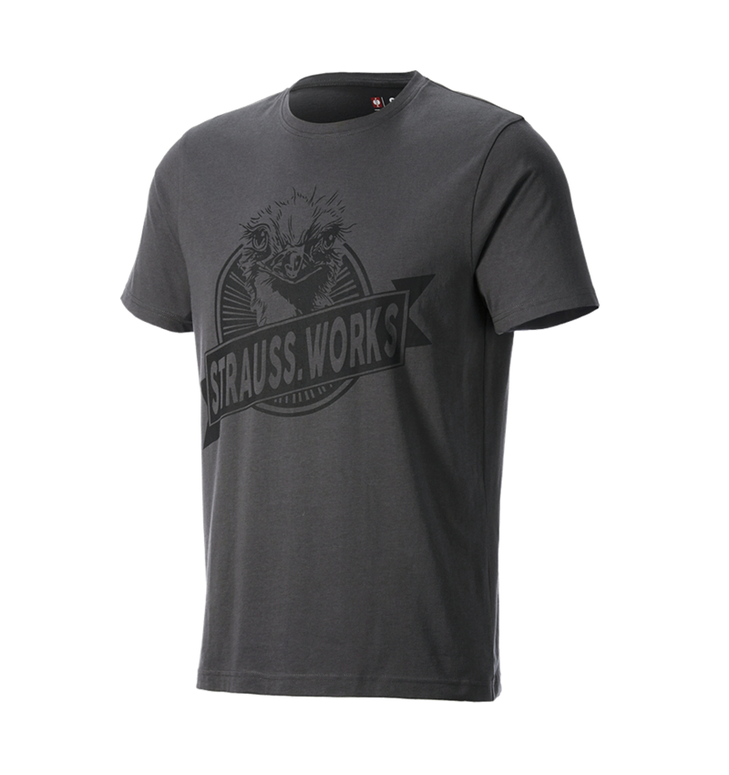 Abbigliamento: T-shirt e.s.iconic works + grigio carbone 4
