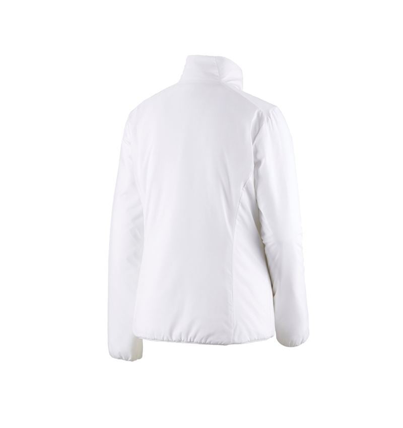 Giacche da lavoro: e.s. giacca imbottita CI, donna + bianco 3