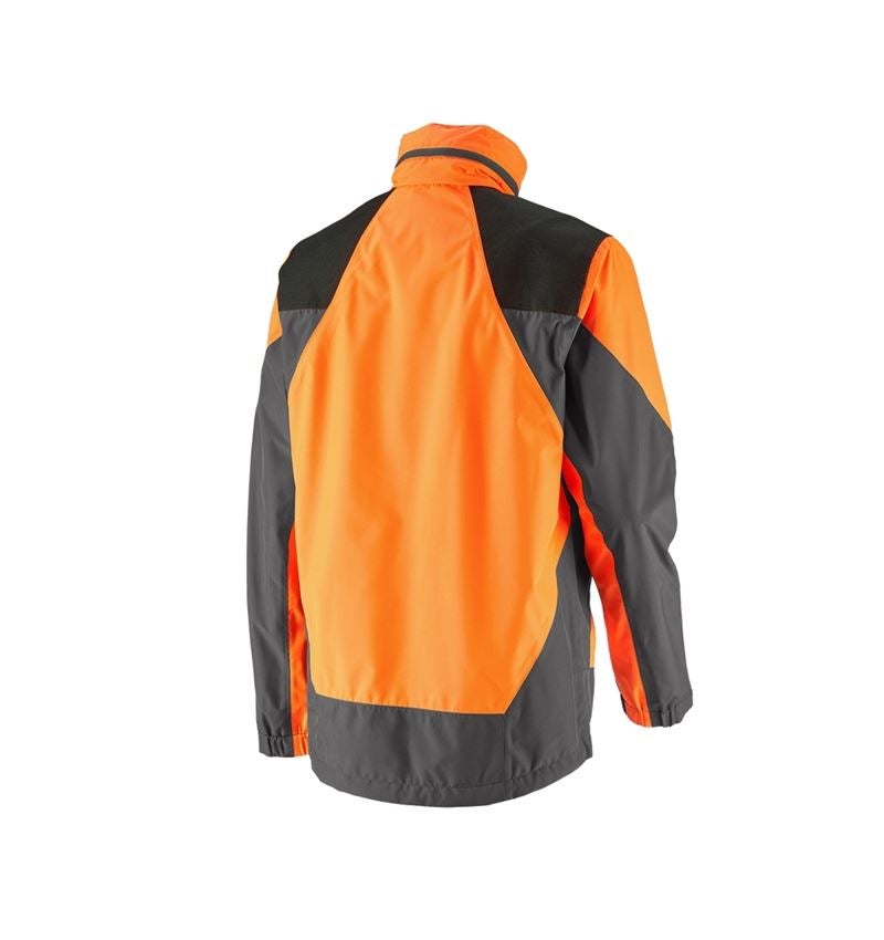 Giacche: e.s. giacca forestale antipioggia + arancio fluo/grigio carbone 3