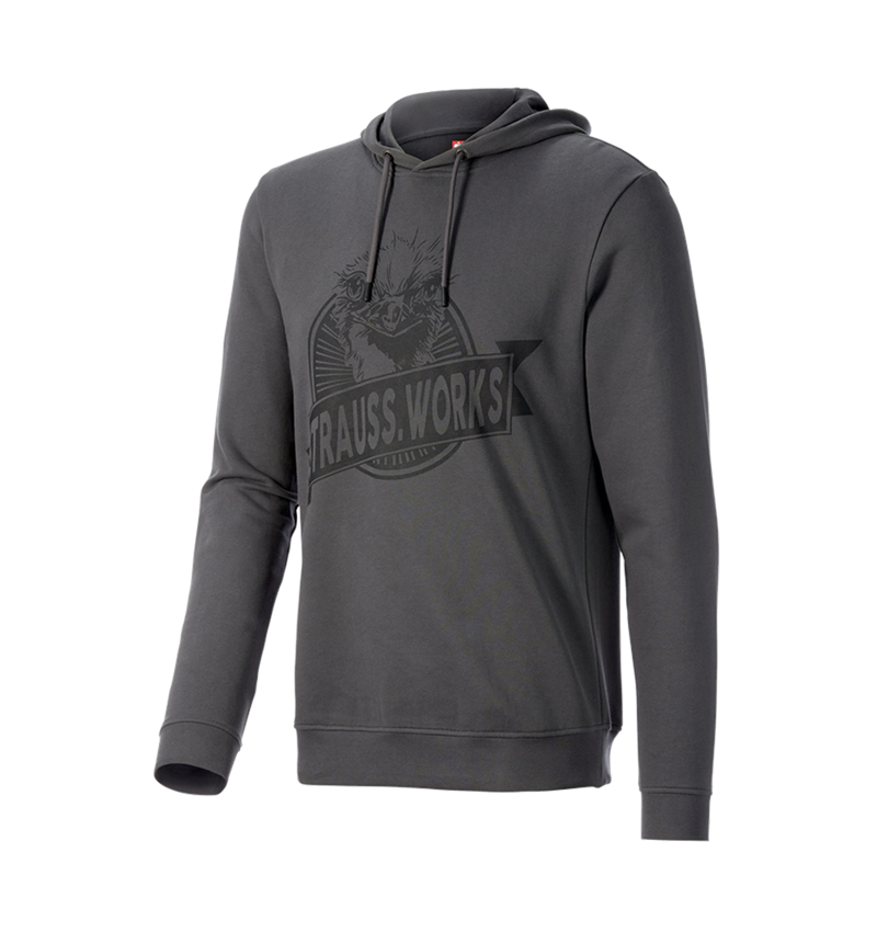 Maglie | Pullover | Camicie: Hoody-felpa e.s.iconic works + grigio carbone 3