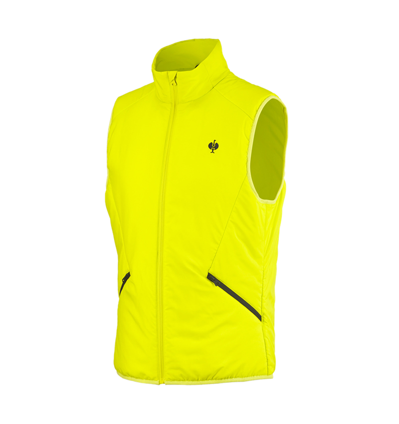 Temi: Gilet e.s.trail + giallo acido/nero 3