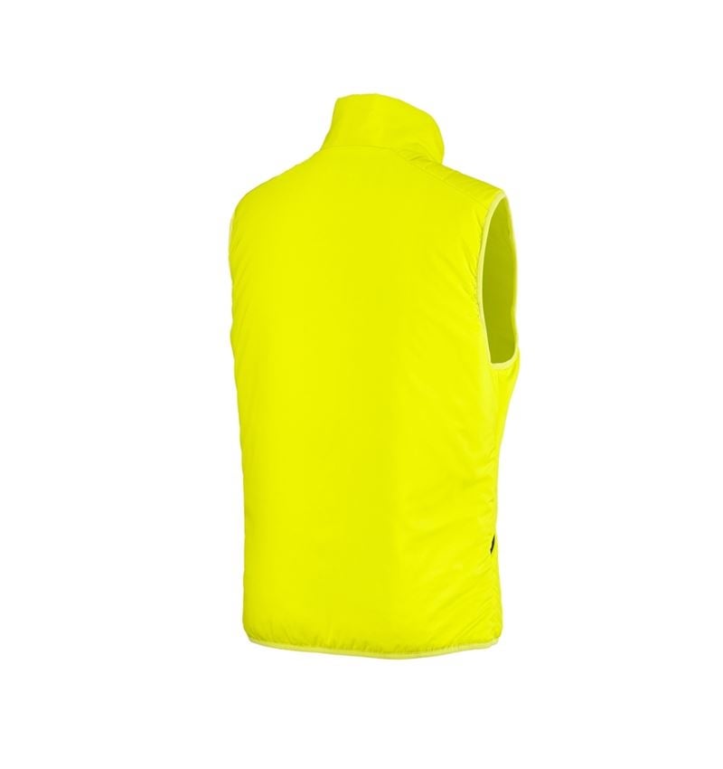 Temi: Gilet e.s.trail + giallo acido/nero 4