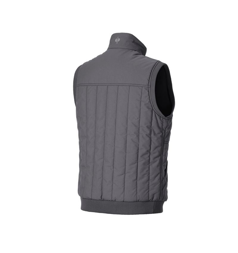 Gilet: Gilet e.s.iconic + grigio carbone 6