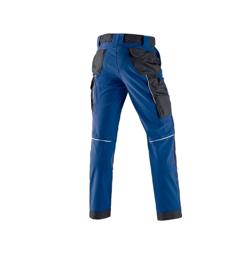 Giardinaggio / Forestale / Agricoltura: Pantaloni funzionali e.s.dynashield + blu reale/nero 3