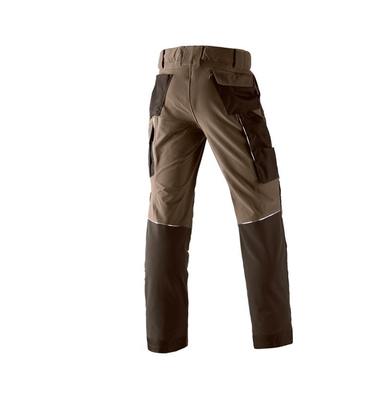Falegnami: Pantaloni funzionali e.s.dynashield + nocciola/castagna 2