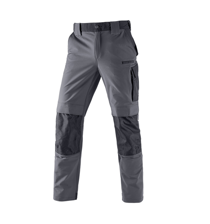 Pantaloni: Pantaloni funzionali e.s.dynashield + cemento/nero 2