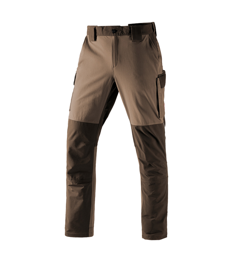 Pantaloni: Pantaloni cargo funzionali e.s.dynashield + nocciola/castagna 2