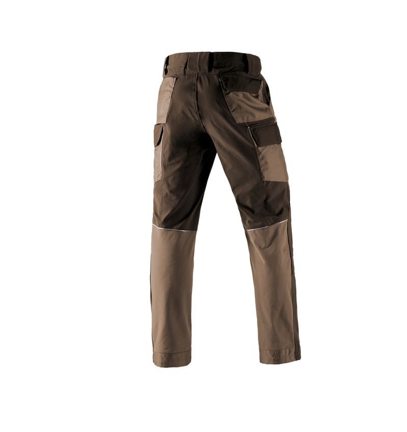 Pantaloni: Pantaloni cargo funzionali e.s.dynashield + nocciola/castagna 3