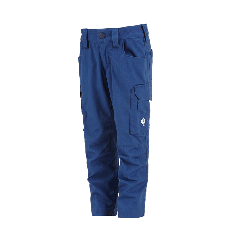 Temi: Pantaloni e.s.concrete solid, bambino + blu alcalino 2
