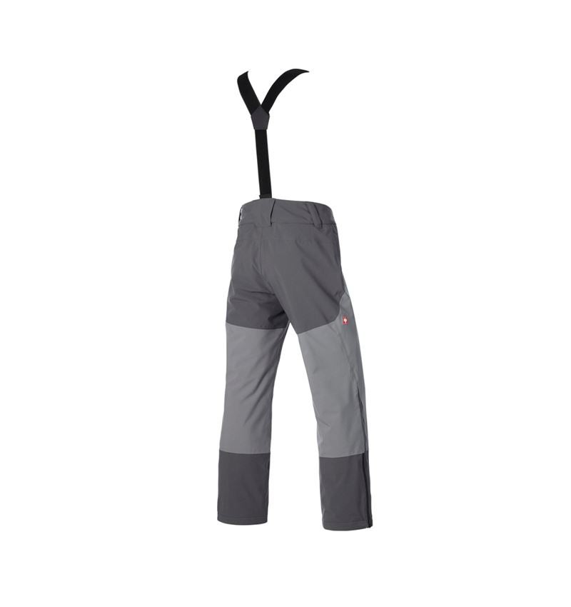 Pantaloni: Pantaloni funzionali e.s.trail snow + grigio carbone/grigio basalto 6