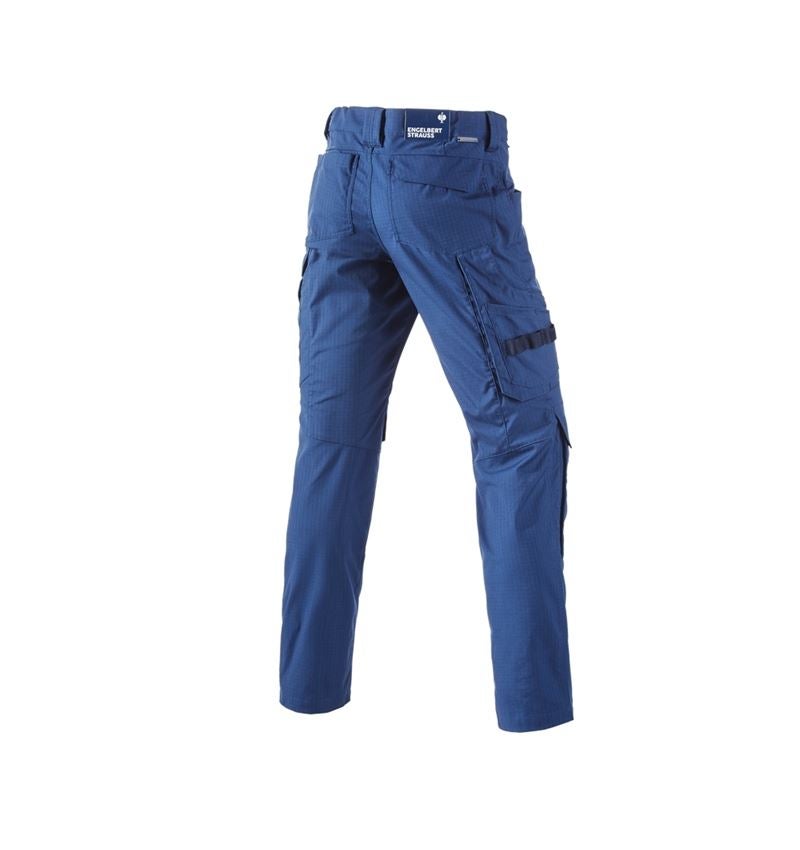 Pantaloni: Pantaloni e.s.concrete solid + blu alcalino 3
