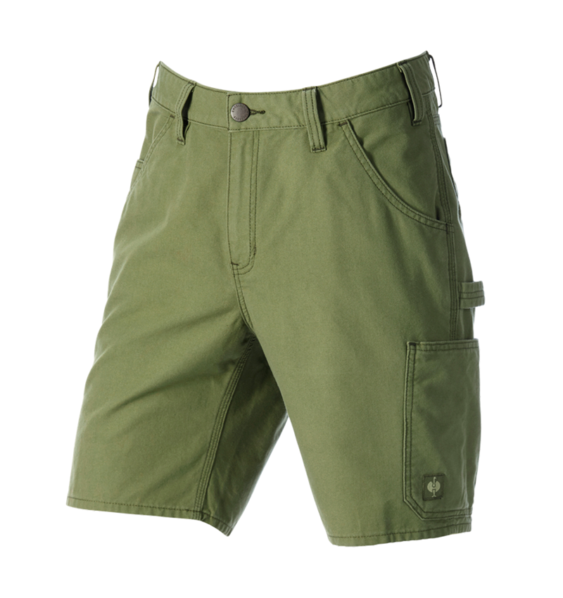 Pantaloni: Short e.s.iconic + verde montagna 6