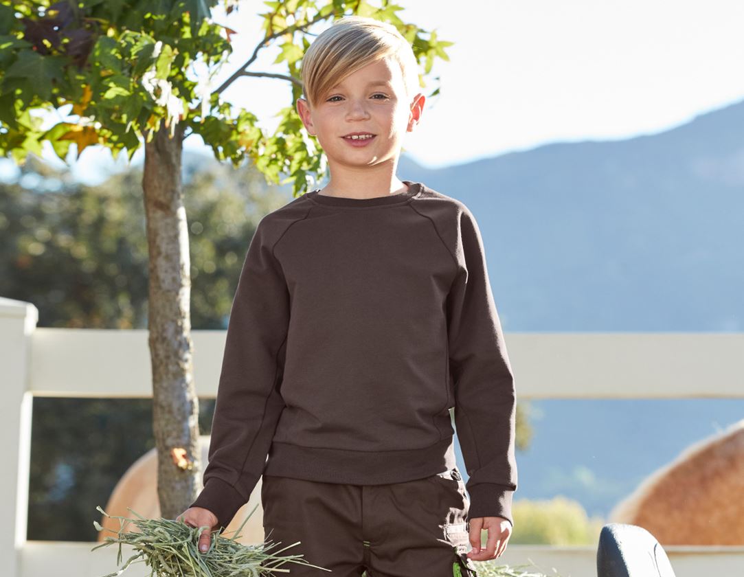 Themen: e.s. Sweatshirt cotton stretch, Kinder + kastanie