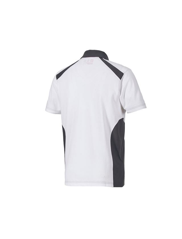 Maglie | Pullover | Camicie: Polo cotton e.s.active + bianco/antracite  3