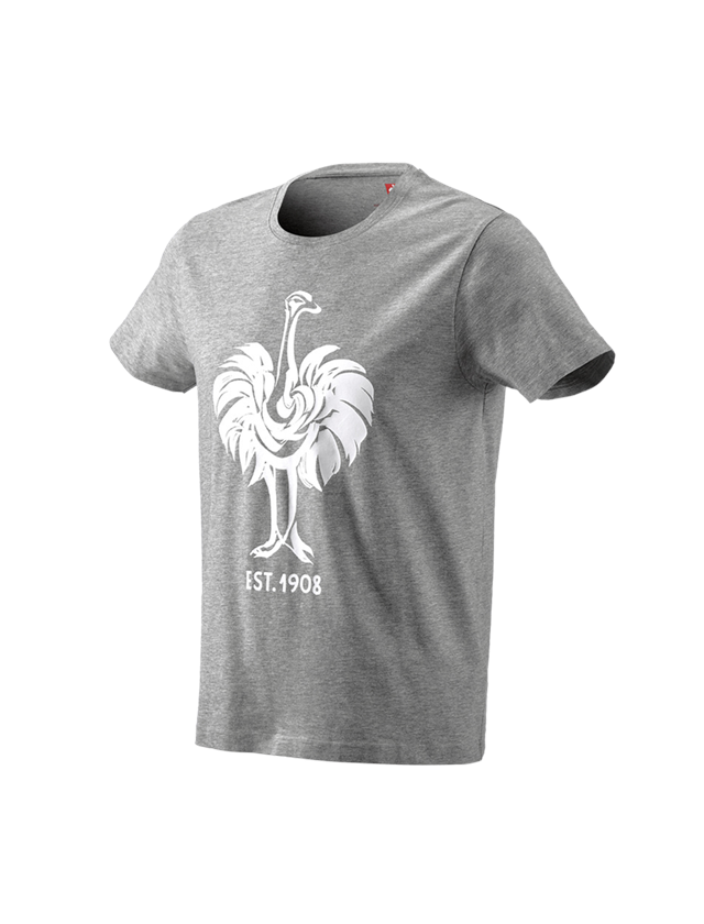 Temi: e.s. t-shirt 1908 + grigio sfumato/bianco