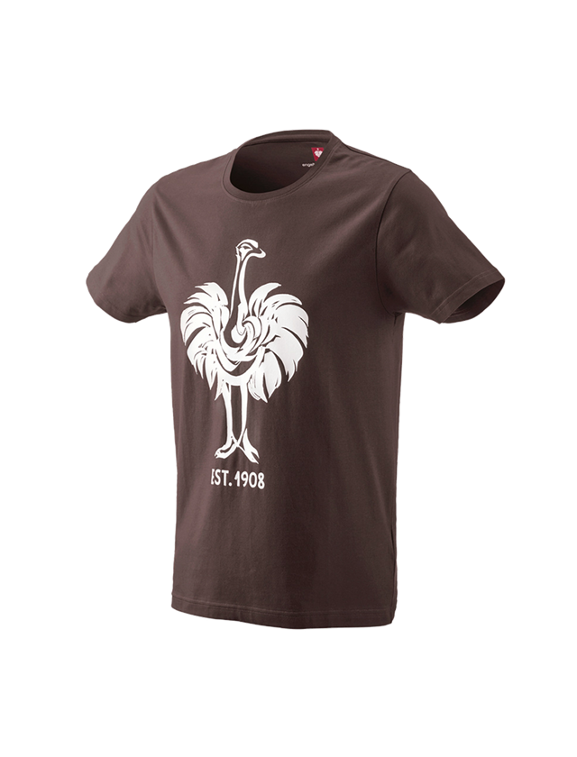 Maglie | Pullover | Camicie: e.s. t-shirt 1908 + castagna/bianco 2