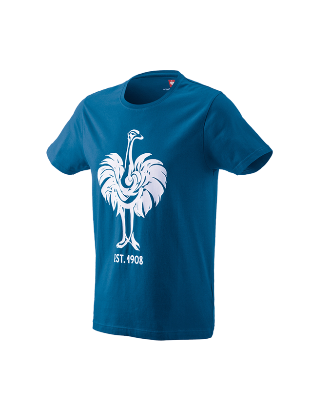 Temi: e.s. t-shirt 1908 + atollo/bianco 1