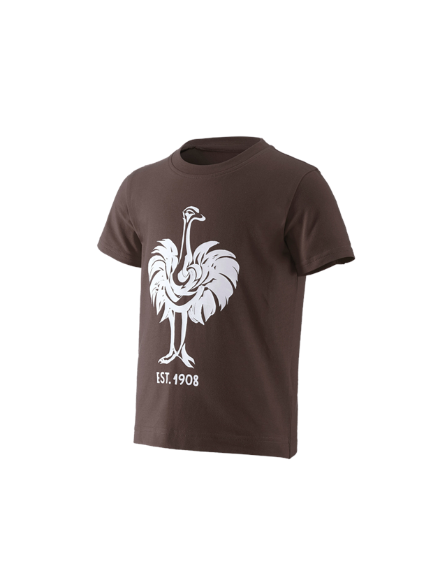 Maglie | Pullover | T-Shirt: e.s. t-shirt 1908, bambino + castagna/bianco 1