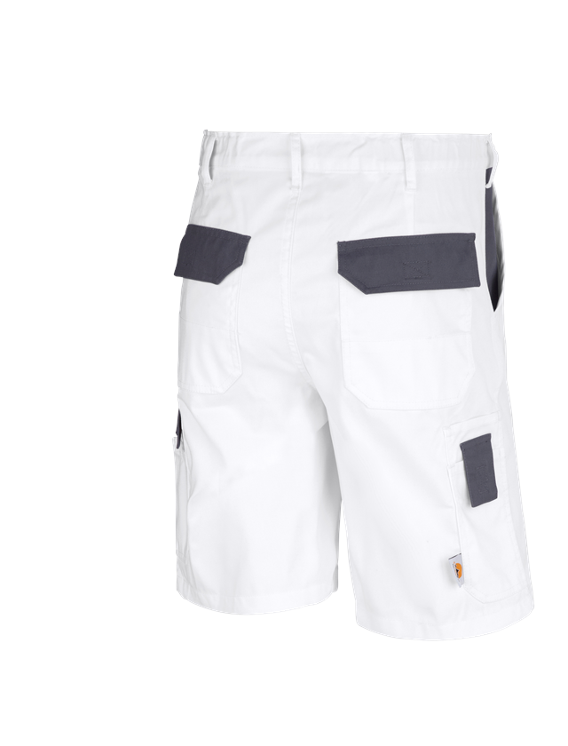 Pantaloni: STONEKIT Short Odense + bianco/grigio 1